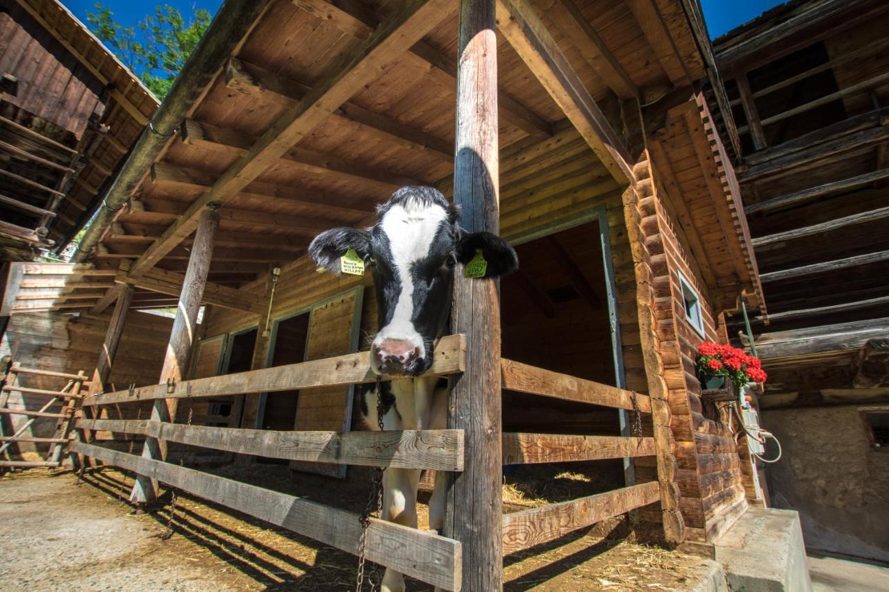 Agriturismo Maso Runch Badia Kültér fotó