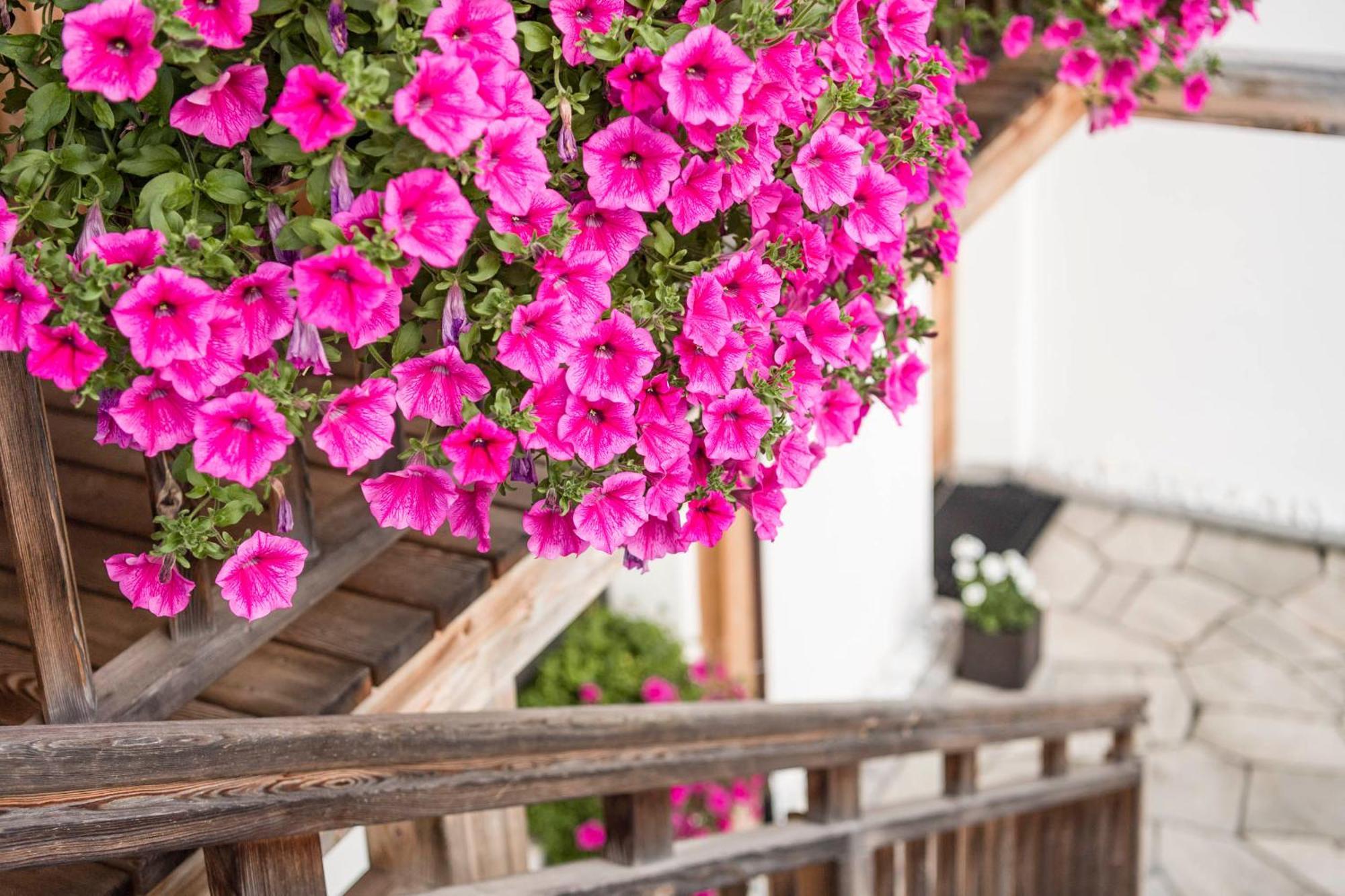 Agriturismo Maso Runch Badia Kültér fotó