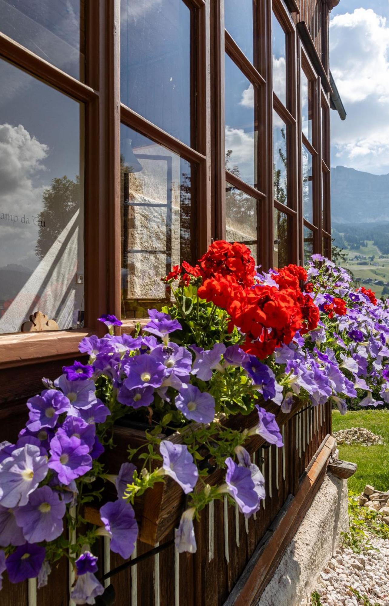 Agriturismo Maso Runch Badia Kültér fotó